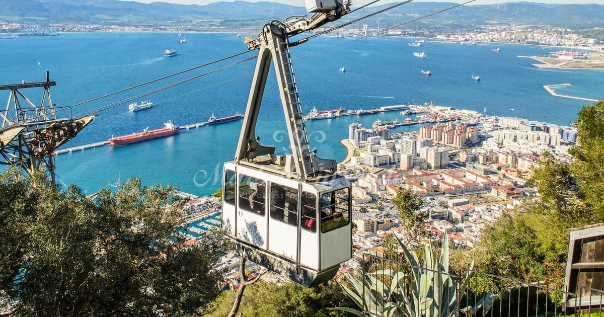 maletero restaurante Vislumbrar ▷ Gibraltar private tour from Marbella 【2023】 | Marbella in Style