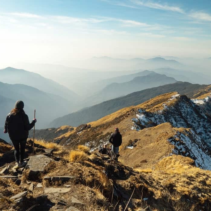 Tours & Excursions